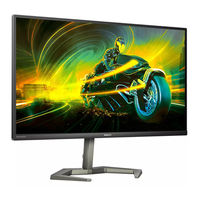 Philips Momentum 32M1C5500VL User Manual