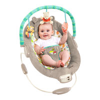 Kids II 60256-ES Manual