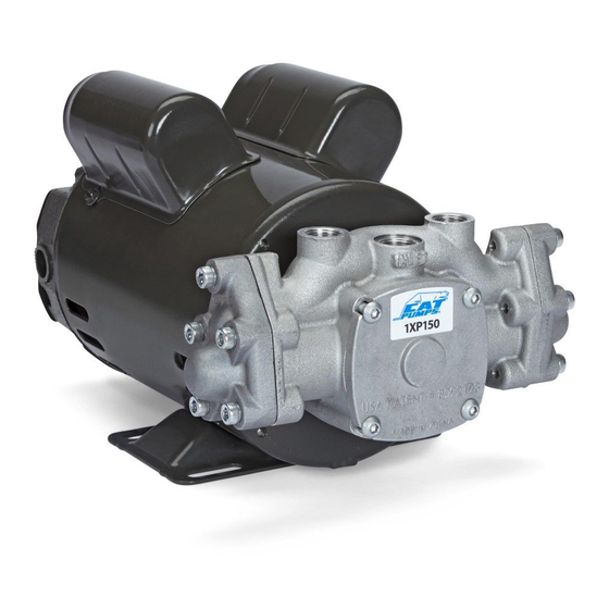 CAT PUMPS 1XP SERIES WATER PUMP INSTALLATION, OPERATIONAL AND REPAIR MANUAL ManualsLib