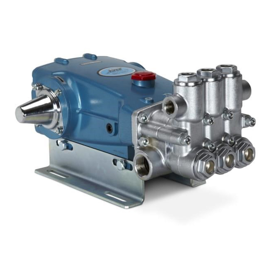 CAT PUMPS 2530 WATER PUMP SERVICE MANUAL ManualsLib