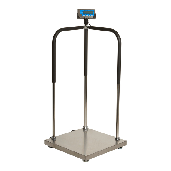 Brecknell MS140-300 Electronic Physician Scale