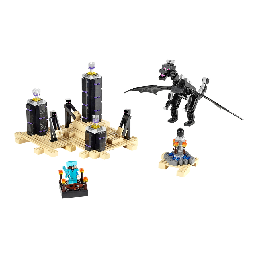 LEGO 21117 Instructions Manual