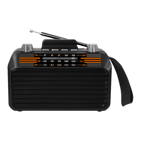 SoundMax SM-RD2114UB Instruction Manual