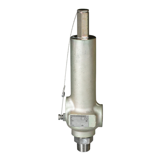EMERSON ANDERSON GREENWOOD 81P MAINTENANCE INSTRUCTIONS Pdf Download | ManualsLib EMERSON ANDERSON GREENWOOD 81P MAINTENANCE... 