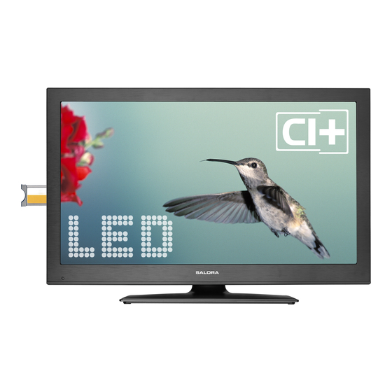 Télécommande De Rechange Pour TV SALORA 22LED8000T, 26LED7100C, 32LED7100C - Modèle RC3902 Neuf