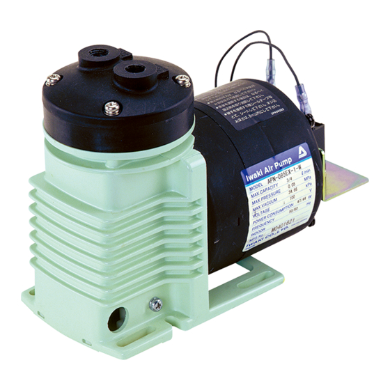 IWAKI PUMPS APN-085-D4 Series Instruction Manual