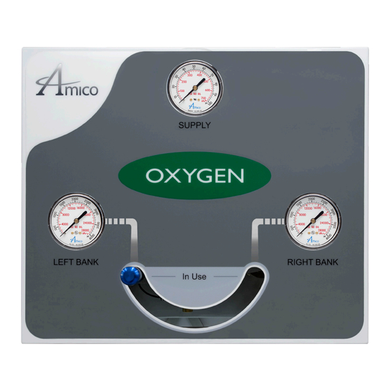 Amico Carbon Dioxide Manuals