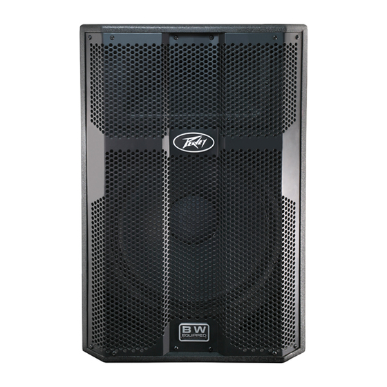 PEAVEY DPE 2P SPEAKER SYSTEM OPERATING MANUAL | ManualsLib