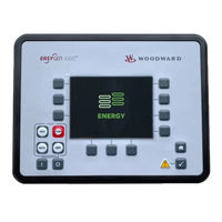 Woodward 8440-2081 Option Manual
