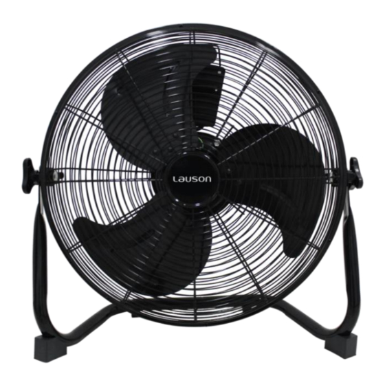 lauson AFF107 Instruction Manual