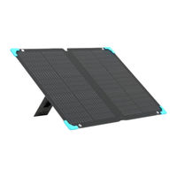 Renogy RSP120EF User Manual
