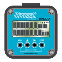 Blancett B3000 User Manual