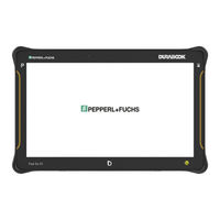 Pepperl+Fuchs Pad-Ex 01 P12 Series Instruction Manual
