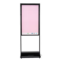 Displays2go DGHBDWS55 User Manual