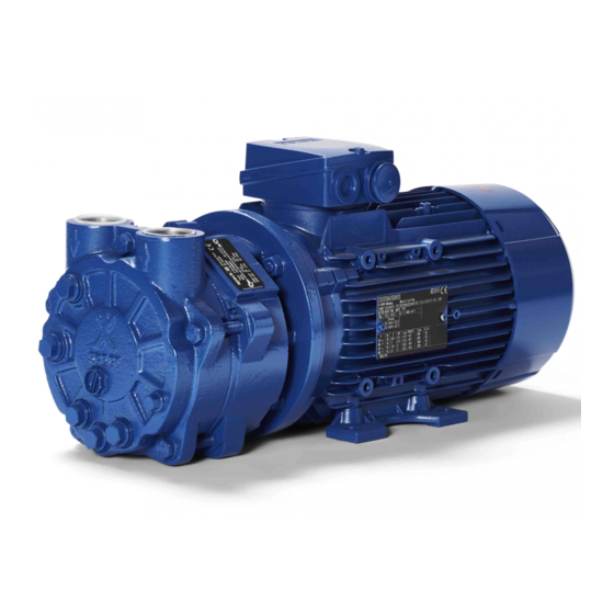 SPECK PUMPEN V SERIES OPERATING INSTRUCTIONS MANUAL Pdf Download