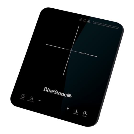 Bluestone ICB-6729 User Manual