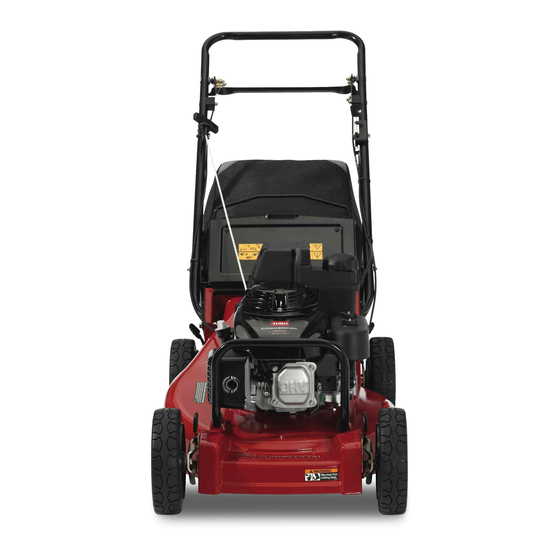 Toro 22295 Manuals