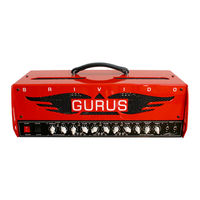 GURUS BRIVIDO User Manual