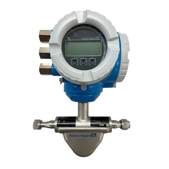 ENDRESS+HAUSER PROMAG 300 INSTALLATION INSTRUCTIONS MANUAL Pdf Download