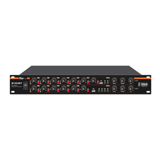 Vivaldi M12X2BT Manuals