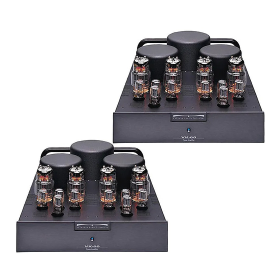 Balanced Audio Technology VK-60SE Owner's Manual