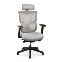 Flexispot C7 User Manual