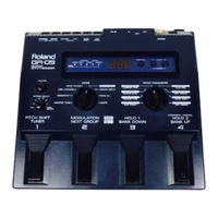 Roland GR-09 Owner's Manual