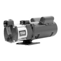 Pentair STA-RITE DSS3HG3T Owner's Manual