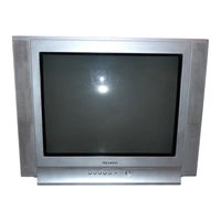 Samsung CS21K5 Owner's Instructions Manual