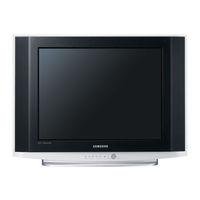 Samsung CS21K40 Owner's Instructions Manual