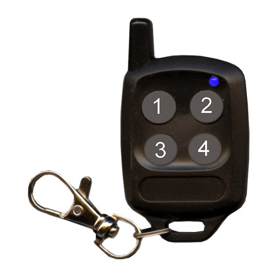 Giant Alarm System JJ-RC-G5 Instructions