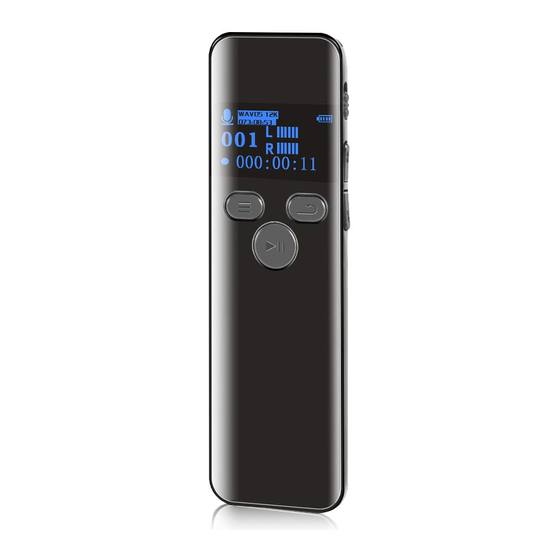 Aiworth Digital Voice Recorder Manual at Sheilah Swindell blog
