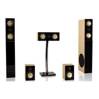 Teufel Theater 5 Hybrid Series Technical Specifications And Operating Manual