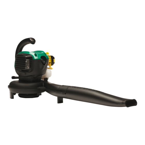 WEED EATER 952711937 INSTRUCTION MANUAL Pdf Download ManualsLib