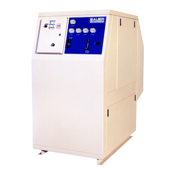 BAUER COMPRESSORS MAXI VERTICUS INSTRUCTION MANUAL AND REPLACEMENT