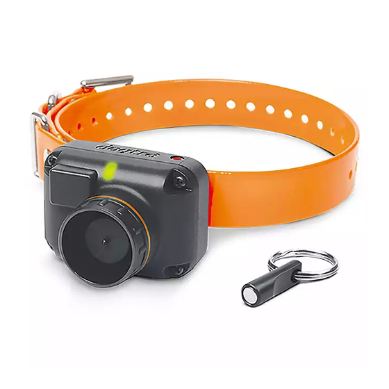 DOGTRA STBHAWK MANUAL Pdf Download ManualsLib