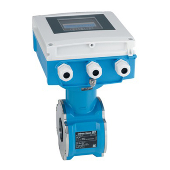 ENDRESS+HAUSER PROLINE PROMAG D 400 HART OPERATING INSTRUCTIONS MANUAL