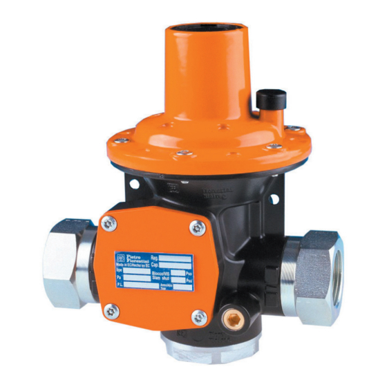 PIETRO FIORENTINI HP 100 Use And Maintenance Manual