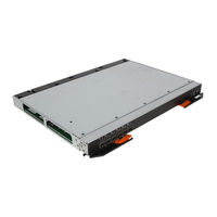 IBM Flex System FC3171 Product Manual