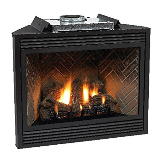 Empire Comfort Systems DVP42FP3(0,1,2,3)(N,P)-1 Installation Instructions And Owner's Manual