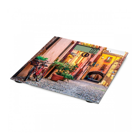 BRAYER BR3730 Manuals