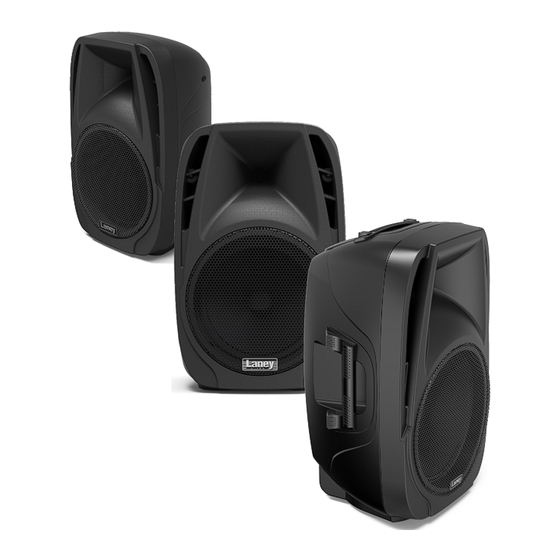 Laney Audiohub Venue Series User Manual