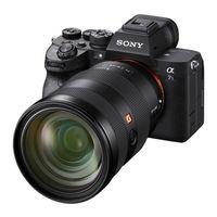 Sony a7S III Help Manual