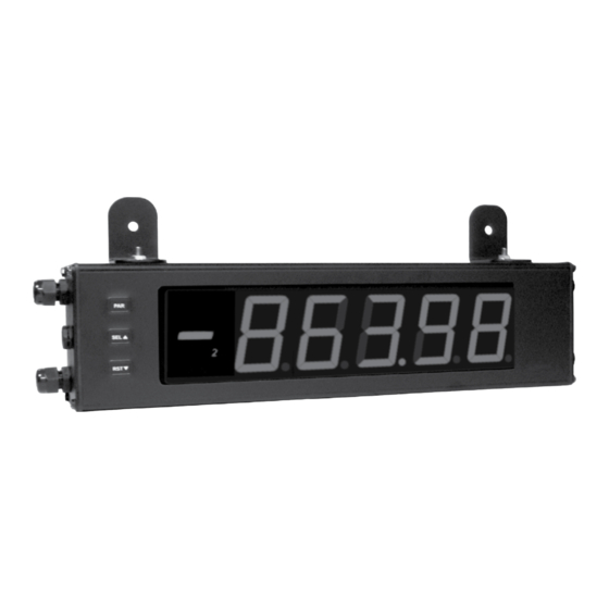 User Manuals: Redlion LD2A Measuring Instruments