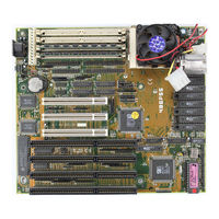 Freetech 486F55 User Manual