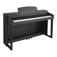 Artesia DP-150E Owner's Manual