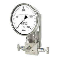 Wise P660 Series User Manual