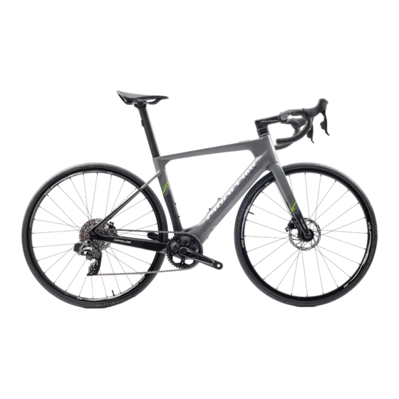 Diamant Cipollini FLUSSO Manuals