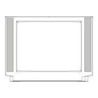 Hitachi CL29F60N User Manual