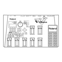 Roland V-Bass Owner's Manual